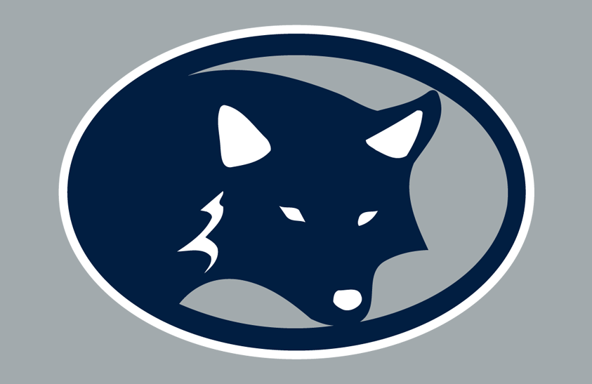 Nevada Wolf Pack 2001 Helmet Logo diy DTF decal sticker